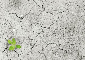 The Impact by Steve Maxwell