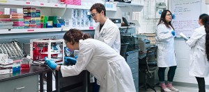 NABL accredited testing lab