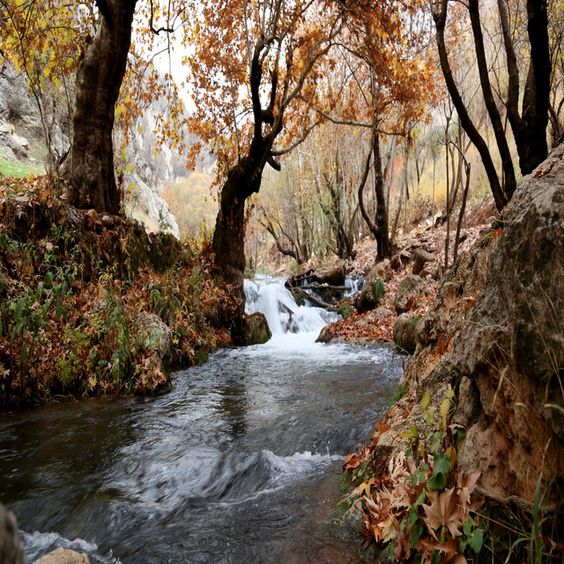 Coastal Meditation  Near a Quiet Stream by Weston Brown