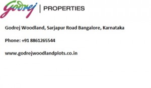 Godrej Woodland Price Chart