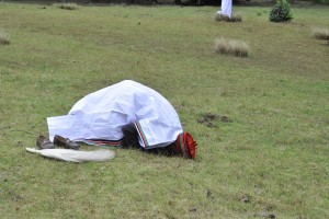Qadree El-Amin Making Salat on a plateau in Kaburu forest