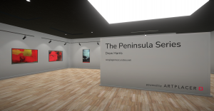 ArtPlacerVEScreenshot 8
