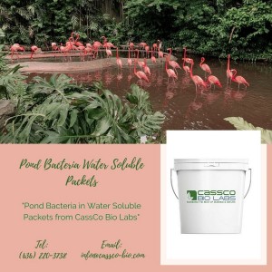 Pond Bacteria Water Soluble Packets