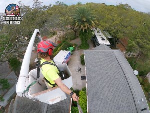 #1 Tree Service Provider In Destin | Brothers in arms Tree Service