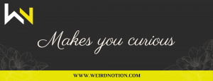 WeirdNotion Cover Photo
