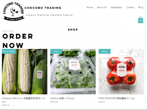 Chocobo Trading Offers Top-Quality and Fresh Cameron Highlands Vegetables to Malaysia and Singapore Market