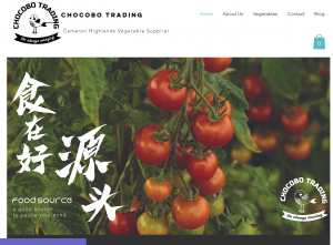 Chocobo Trading Offers Top-Quality and Fresh Cameron Highlands Vegetables to Malaysia and Singapore Market