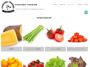 Chocobo Trading Offers Top-Quality and Fresh Cameron Highlands Vegetables to Malaysia and Singapore Market