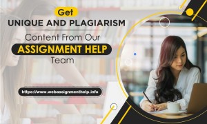 online assignment help