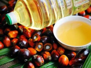 Palm Oil 2