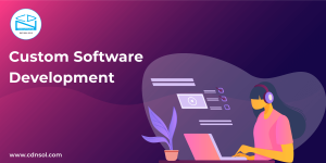 Software Development Service