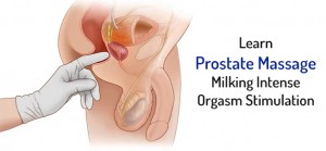 Learn Prostate Massage Milking Intense Orgasm Stimulation