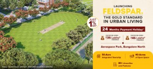 Jasper at Brigade Eldorado