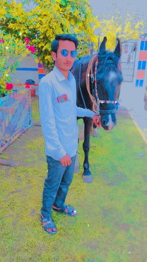 Narendra Singh Rajput Deta