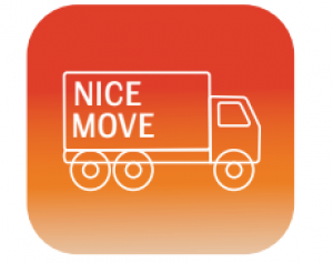 Nice Move Logo