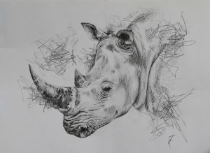 Disappearing Species by Kate Strom Fields