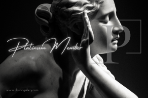 Platinum Membership