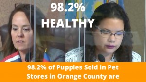 98% Healthy
