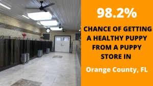 98% Healthy