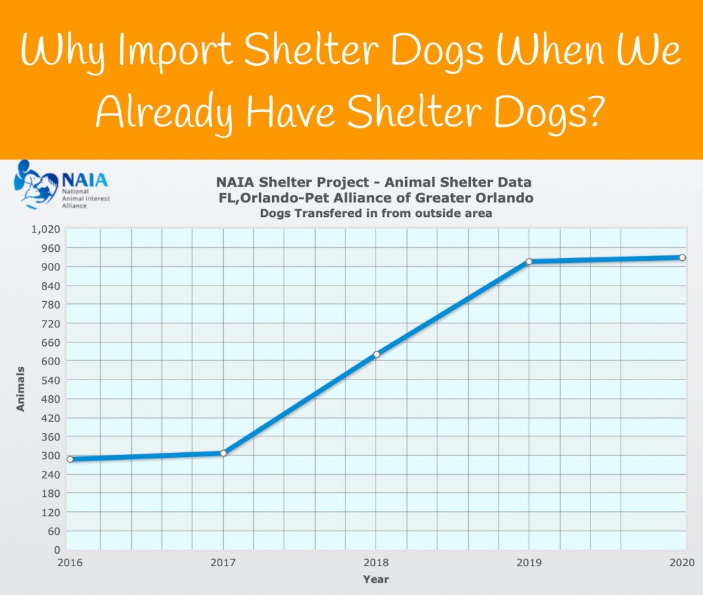 Orange County Pet Ban Not Addressing Importing Shelter Dogs for Retail