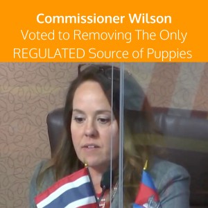 Commissioner Nicole Wilson Orange County Pet Store Ban