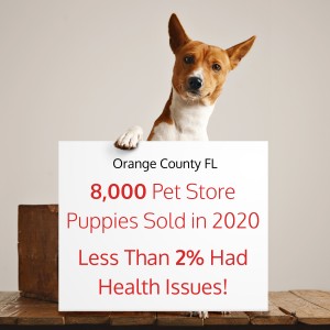 Orange County Pet Store Puppies Ban