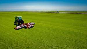 King Ranch Florida Turfgrass Farm