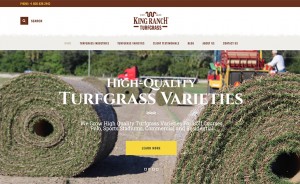 kingranch Florida Turfgrass