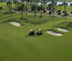 KingRanch Golf Turfgrasses