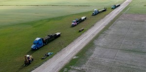 Turfgrass operations florida