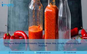 Hot Sauce Market