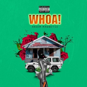 ‘Twenty Twenty One’ by Jonni Rockett, 'Cheat Code' by N8c, 'WHOA!' by Akeem Magnetic