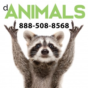DeliveryAnimals 01