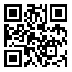 QR CODE WEBSITE