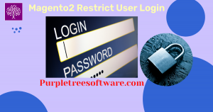 Magento 2 user login