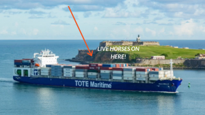 LIVE HORSES ON HERE 1980x1020