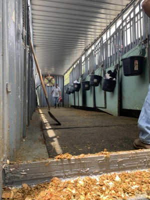 modified lagos container 2021