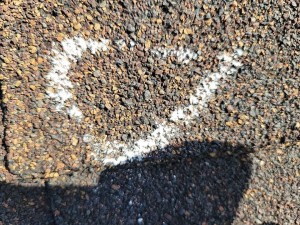 Why you should do a commercial roof inspection in 2021 ?