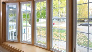 Energy Efficient Windows Market