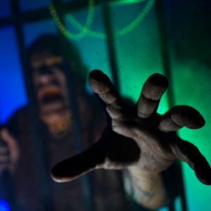 Zombie Reach
