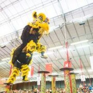 A roaring success: Lion Dance Competition