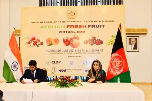 Afghan Fruit Virtual Business