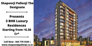 shapoorji pallonji the desinate