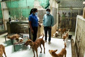 corporate social responsibility