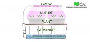 Germinate, Plant, Nurture, Grow