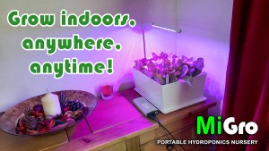Grow indoors, anywhere, anytime