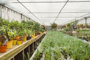 Urban Greening Camp Leipzig