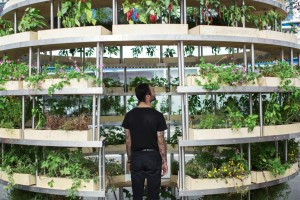 Vertical Farming Biodiversity