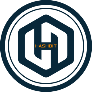 HBIT COIN LOGO