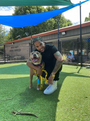 Brand Ambassador International Nova and Rainy at Fulton County Animal Services